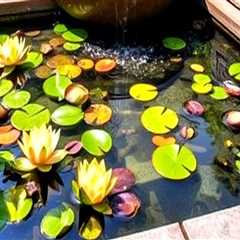 Enhancing Your Rooftop Garden Design with Water Features