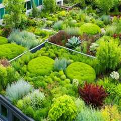Incorporating Rooftop Gardens into Existing Buildings: A Practical Guide