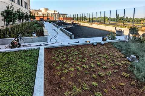 The Rarely Mentioned Impact of Landscaping on Seasonal Property Performance