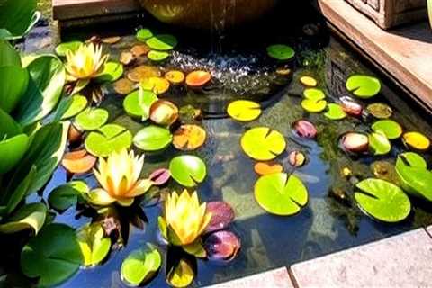 Enhancing Your Rooftop Garden Design with Water Features