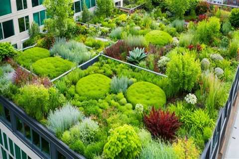 Incorporating Rooftop Gardens into Existing Buildings: A Practical Guide
