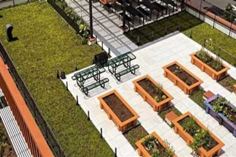 Innovative Ways to Integrate Educational Features into Your Rooftop Garden Design