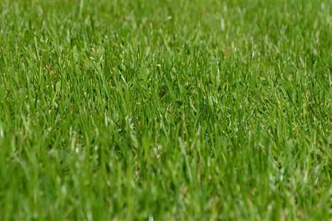 Expert Lawn Care and Gartenpflege in Rapperswil-Jona